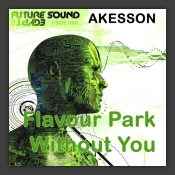 Flavour Park / Without You
