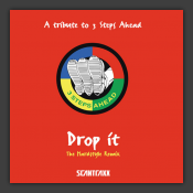 Drop It (The Prophet'z Hardstyle Remix)