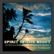 Spirit Of The Night