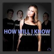 How Will I Know (Remix Bundle)