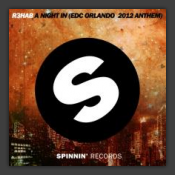 A Night In (EDC Orlando 2012 Anthem)