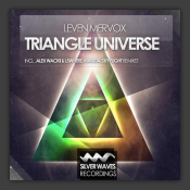 Triangle Universe