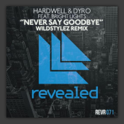 Never Say Goodbye (Wildstylez Remix) 