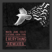 Everything (Remixes)