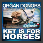 Ket Is For Horses