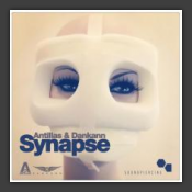 Synapse