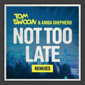 Not Too Late (Remixes)