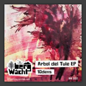 Arbol Del Tule EP