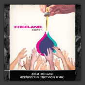 Morning Sun (Endymion Remix)