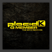 G-Member The 2014 Remixes
