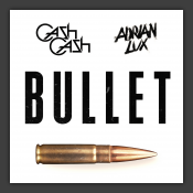 Bullet