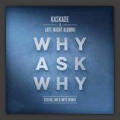 Why Ask Why (Digital LAB & MITS Remix)