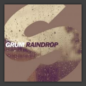 Raindrop