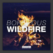 Wildfire