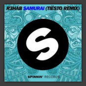 Samurai (Tiesto Remix)