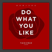 Do What You Like (Remixes)