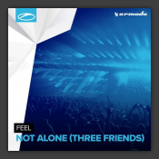 Not Alone (Three Friends)