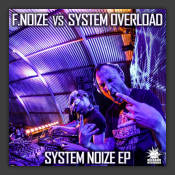 System Noize