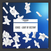 Light Of Destiny