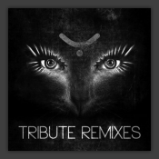 Tribute Remixes