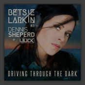 Driving Through The Dark