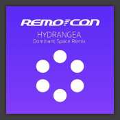 Hydrangea (Dominant Space Remix)