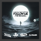 Follow Me (The Remixes)