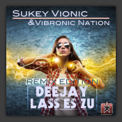 Deejay Lass Es Zu (Remix Edition)