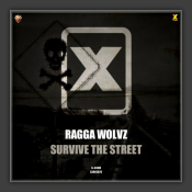 Survive The Street