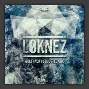 Loknez