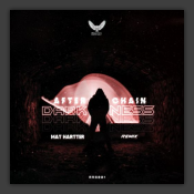 Darkness (Matt Hatter Remix)